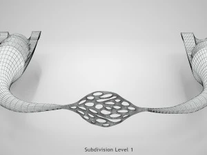 Blood Vessels 3D Model