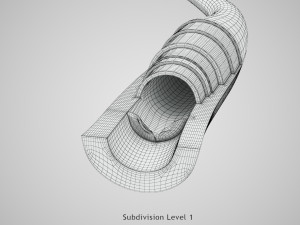Blood Vessels 3D Model