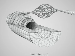 Blood Vessels 3D Model