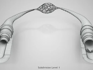 Blood Vessels 3D Model