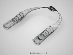 Blood Vessels 3D Model