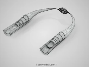 Blood Vessels 3D Model