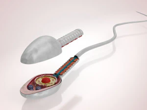 Animated Sperm Cell 3D Model