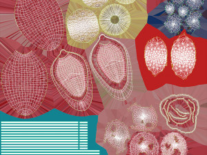 Animated Sperm Cell 3D Модель