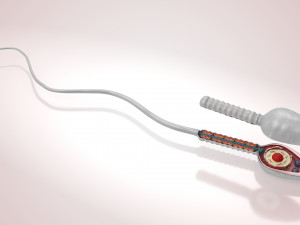 Animated Sperm Cell 3D Модель