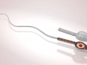 Animated Sperm Cell 3D Model