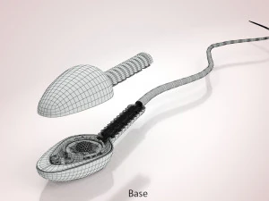 Animated Sperm Cell 3D Model