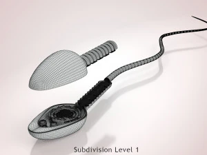 Animated Sperm Cell 3D Model
