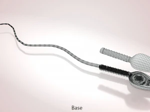 Animated Sperm Cell 3D Model