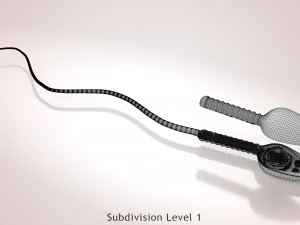 Animated Sperm Cell 3D Model