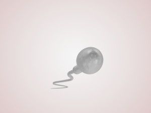 Animated Sperm Cell 3D Модель