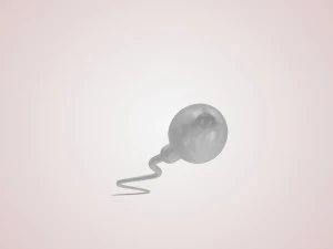 Animated Sperm Cell 3D Model