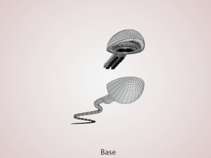 Animated Sperm Cell 3D Модель