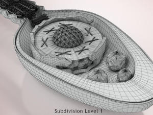 Animated Sperm Cell 3D Модель