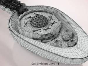 Animated Sperm Cell 3D Model