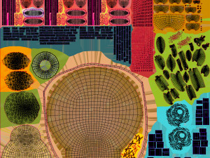 Animal Cell Structure 3Dモデル