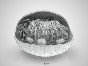 Animal Cell Structure 3Dモデル