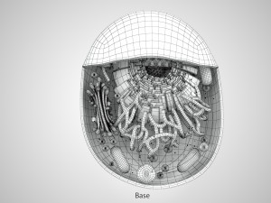 Animal Cell Structure 3Dモデル