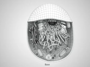 Estructura celular animal Modelo 3D