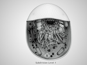 Animal Cell Structure 3Dモデル
