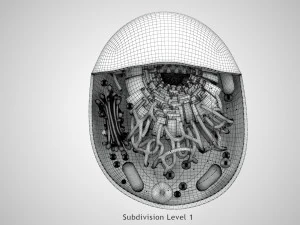 Estructura celular animal Modelo 3D