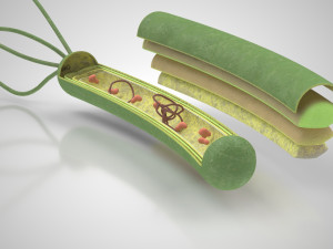 Prokaryotic Structure 3D Модель