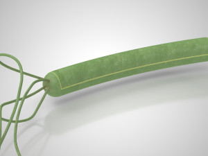 Prokaryotic Structure 3D Модель