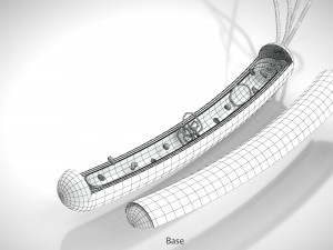 Prokaryotic Structure 3D Модель