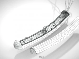 Prokaryotic Structure 3D Model
