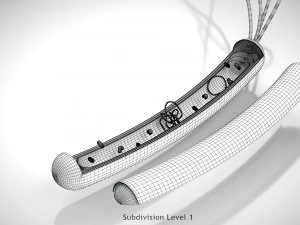 Prokaryotic Structure 3D Model