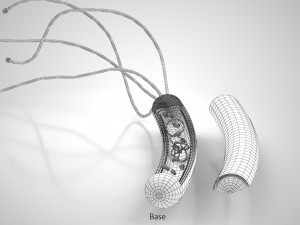 Prokaryotic Structure 3D Модель