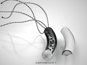 Prokaryotic Structure 3D Модель