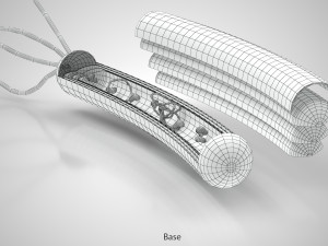 Prokaryotic Structure 3D Модель