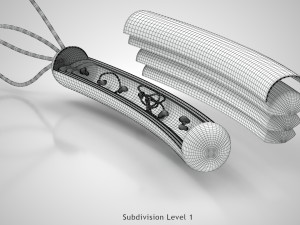 Prokaryotic Structure 3D Модель