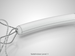 Prokaryotic Structure 3D Модель