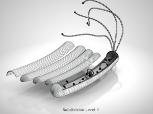 Prokaryotic Structure 3D Модель