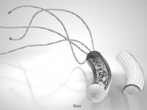 Prokaryotic Structure 3D Модель