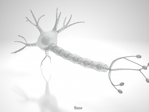 Neuron Cell Anatomy 3D Модель