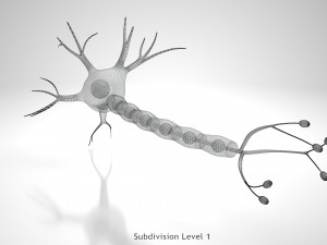 Neuron Cell Anatomy 3D Модель
