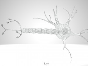 Neuron Cell Anatomy 3D Модель