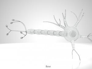 Neuron Cell Anatomy 3D Модель