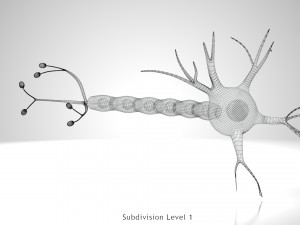 Neuron Cell Anatomy 3D Модель