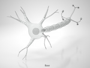 Neuron Cell Anatomy 3D Модель