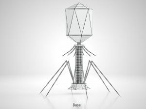 Bacteriophage 3D Model