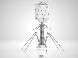 Bacteriofaag 3D Model