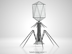 Bacteriophage 3D Model