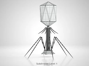 Bacteriofaag 3D Model