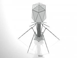 Bacteriofaag 3D Model