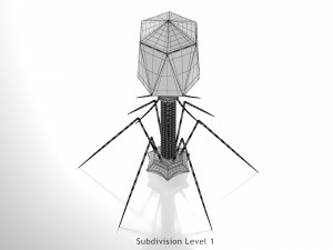 Bacteriophage 3D Model
