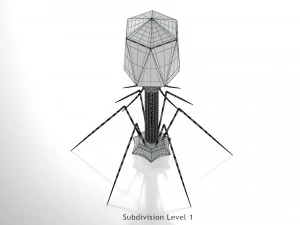 Bacteriofaag 3D Model